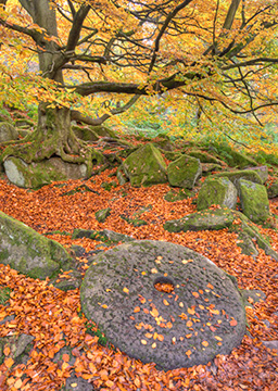 PadleyMillstone 140_0094-96_tm