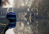 Barges 473_14